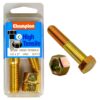 Champion 2in x 1/2in Bolt And Nut (C) - GR5