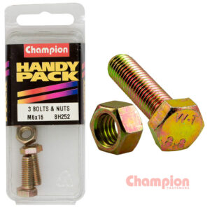Champion Hex Set Screws M6 x 16mm & Nuts-M6 x 1mm