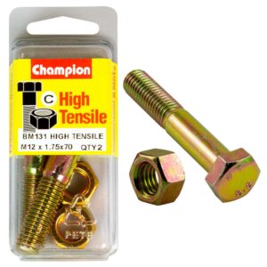 Champion 12 x 70 Bolt And Nut (C) - GR8.8