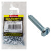 Champion 8G x 1in S/Tapping Screw Pan Head Slot -75pk