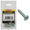 Champion 8G x 1in S/Tapping Screw Pan Head Phillips(Zn)-30pk