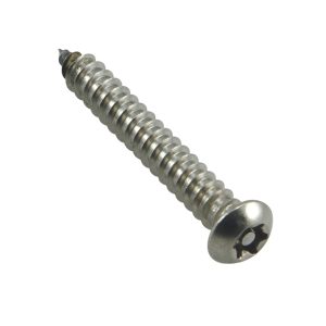 Champion 6G x 1/2in Self-Tapping Screw Pan Tpx 304/A2 -20pk