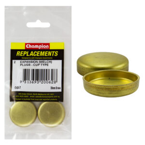 Champion 38mm Brass Expansion (Frost) Plug -Cup Type -2pk