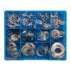 Champion 255pc Metric Wave Washer Assortment 304/A2