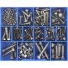 Champion 174pc Stainless (304/A2) Metric Set Screw & Nut