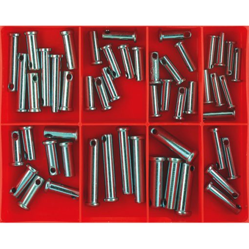 Champion 52pc Imperial Clevis Pin Assortment