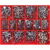 Champion 610pc Slotted Self Tapping Screw Assortment