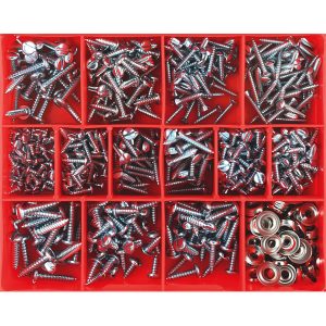Champion 610pc Slotted Self Tapping Screw Assortment