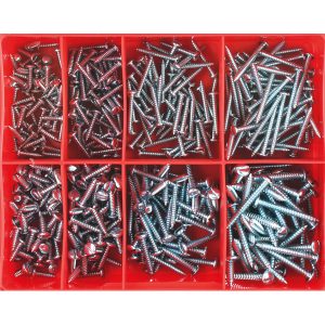 Champion 400pc Slotted Self Tapping Screw Assortment