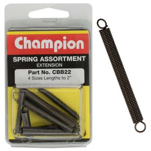 Champion 8Pc Extension Spring Assortment