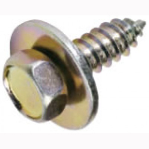 Champion 14G x 3/4in Hex Head Self Tapping Screw - 50pk