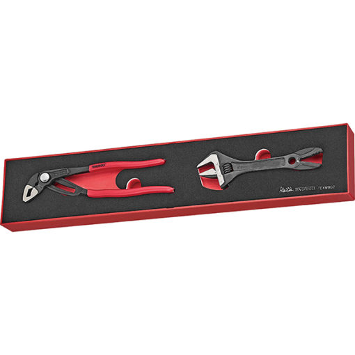 Teng 2pc Plier/Adjustable Wrench Set - TEX-Tray**