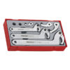 Teng 8pc Hook & Pin Wrench Set - TC-Tray